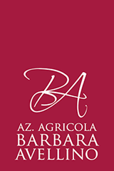 barbara avellino barbara avellino