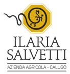 ilaria salvetti ilaria salvetti